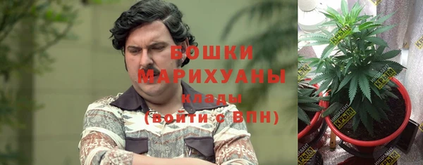 шишки Бородино