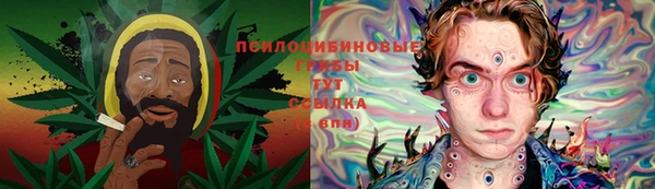 шишки Бородино