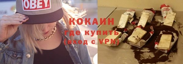 шишки Бородино