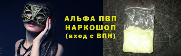шишки Бородино