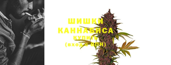 шишки Бородино