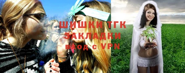 шишки Бородино