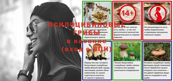 круглые Бронницы