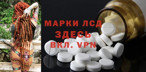 шишки Бородино