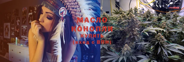 шишки Бородино
