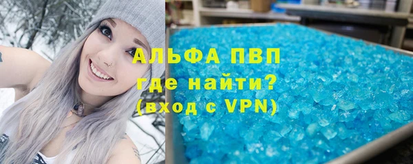 шишки Бородино