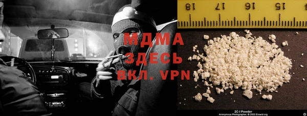 шишки Бородино
