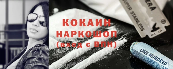 шишки Бородино